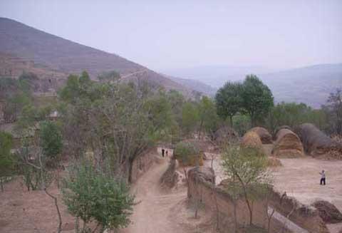 o̺ӹ(sh)F(xin)Ҏ(gu)ģl(f)չ