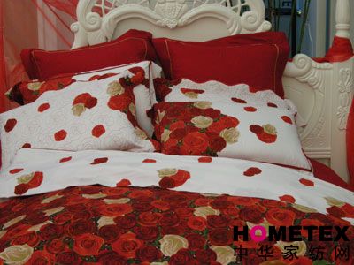 ����܇(ch��)�Ҽ�2008�ﶬ��Ʒ�l(f��)����(hu��)