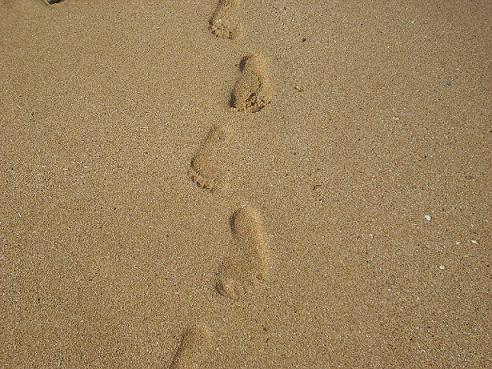 ʩ΄(chung)I(y)ɹ