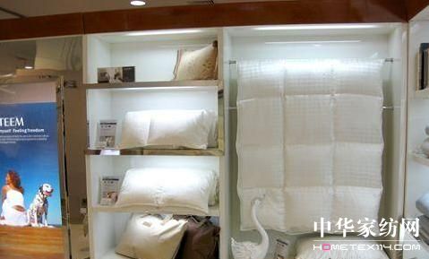 ESTEEM��q�Ҽ��T����չӭ�߳�