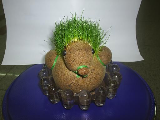 r(sh)Є(chung)ɐ(i)h(hun)^