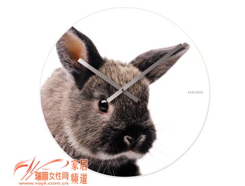 Ȥ"犱"׌һҊ(jin)""飨һ