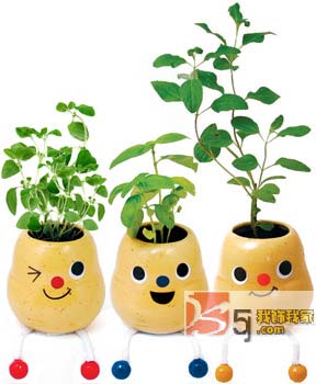 (chung)NСƷoc(din)ϣһ