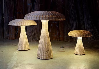 Ӽ҄(chung)ɐ(i)СƷ