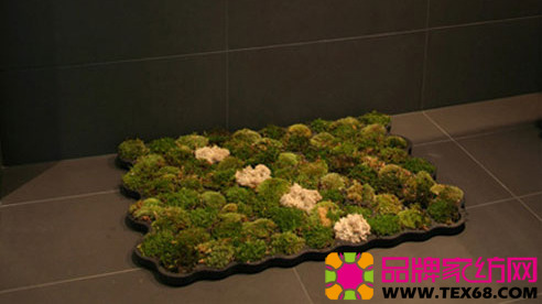 (chung)̺׌ļҾӸ킀(g)