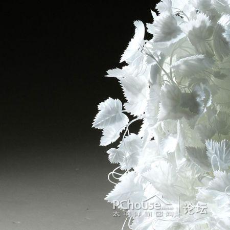 ׵Ę~Є(chung)⵫ܹª(d)