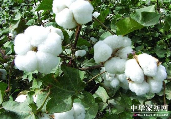 ����Ҽ�ռ��(j��)�YԴ��(y��u)��