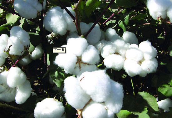 ����ƣܛ���޻�֔(j��n)���P����ǰ