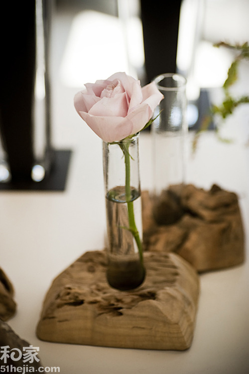 ؚwȻ(sh)ľ͵b(һ)