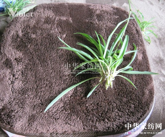 _mx̺ O(sh)К|(zh)Ƿ