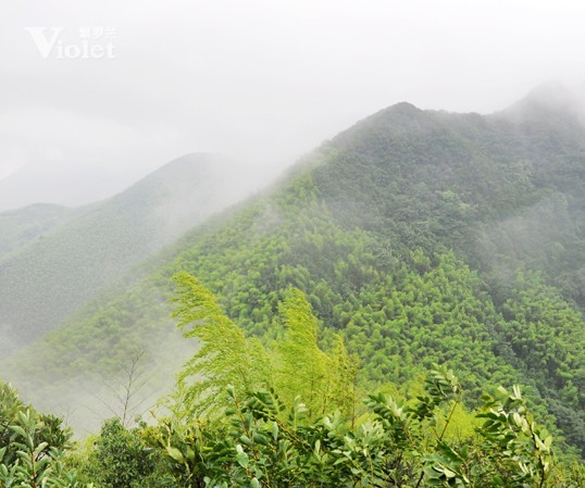 _mЈɽչŗĈF(tun)꠾