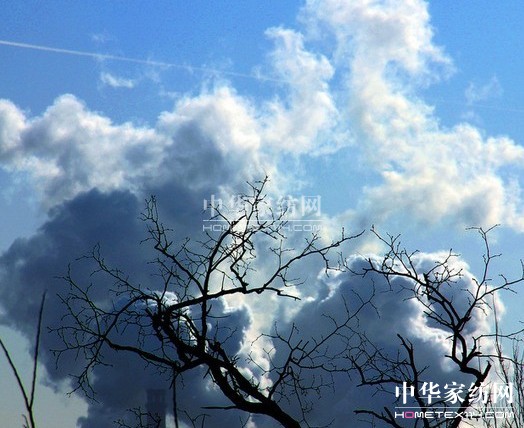 ՚Ⱦ(yn)  _mC(j)Ҽ{o(h)