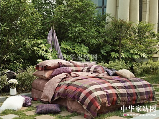 紫羅蘭:立秋時節(jié),新品推薦