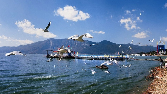 ;һ·L(zhng)ٻ܇(ch)·(xin)]1