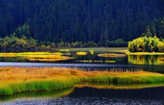 ;һ·L(zhng)ٻ܇(ch)·(xin)]1