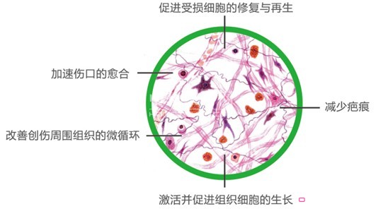 {(ln)ƷwSƼƷr(sh)