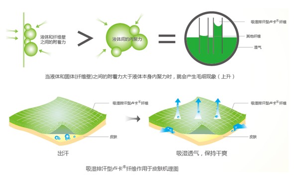 {(ln)ƷRwSˬ˯߲ǉ