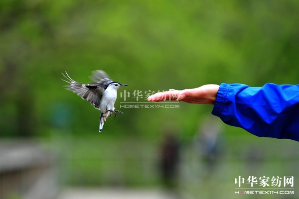 (do)ُ(gu)Ϋ@͵θУ