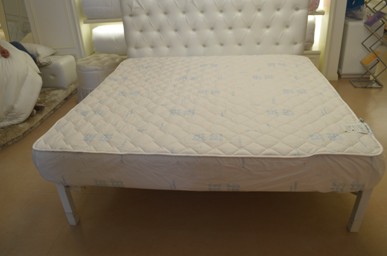 WɼҼ籭Qِ׌҂ďҹg