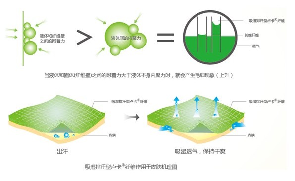 ļƷo(h)B(yng)ϴ߀