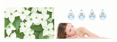 {׷RwS(qun)zy(c)ȫɿ