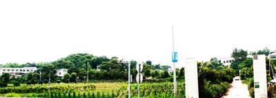 ҼٮЙCB(ti)rf ׌TϷĲ