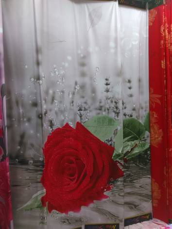 HڶòˇĻ(ji)_(ki)ĻF(xin)3D