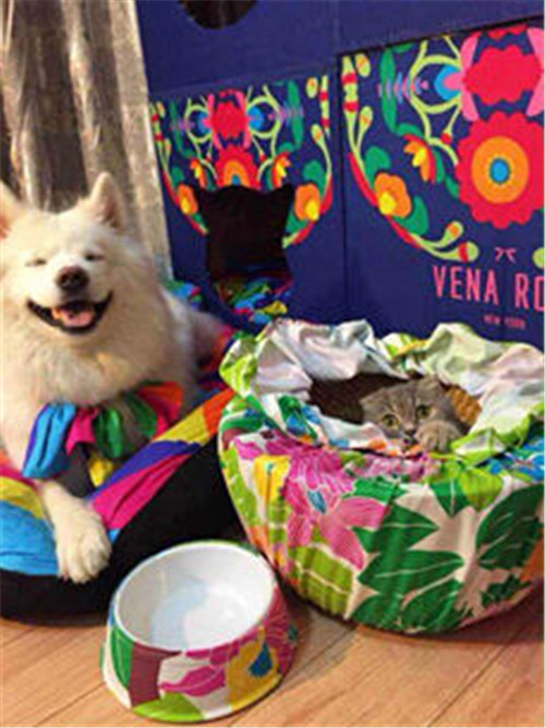 ӶΨ_Ҽ(d)ص̘I(y)ģʽ