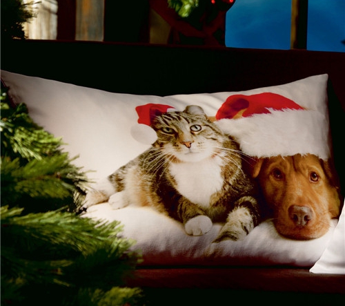 r(sh)мҼƷʥQ(ji)Ԫؿ|C(j)