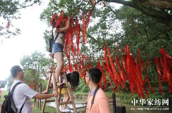 tҼϦo(hu)(dng)ЇF