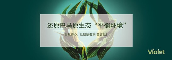 ˯هVioletC(j)Ҽ