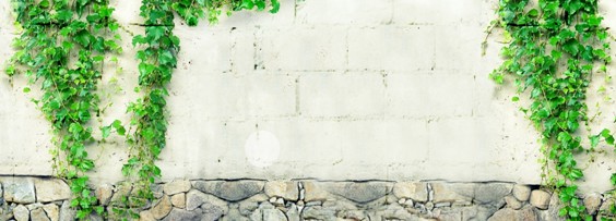 ʢšûʼҼ2016Ʒӆ؛AM