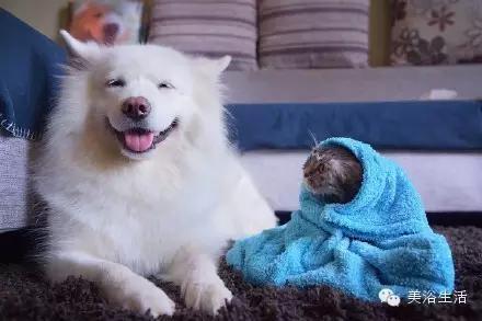 ԡëԌëҲv