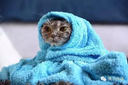 ԡëԌëҲv