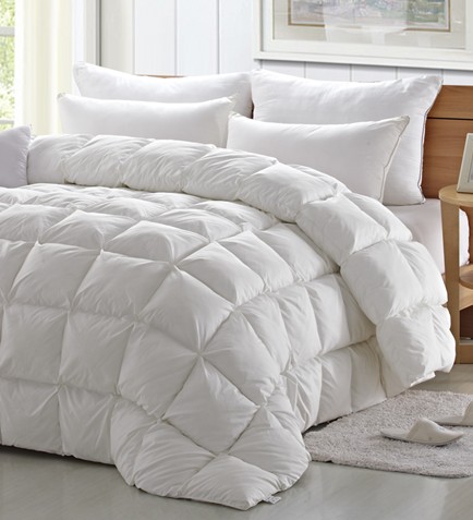 _mҼ(i)(i)360㝍˯