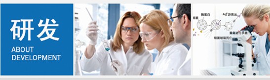 _mҼ(i)(i)360㝍˯