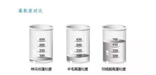 tҼо(ji)mһlq_(ki)ʼ