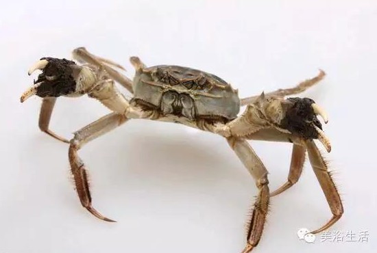 ԡÂĴlззSʳзȯзë