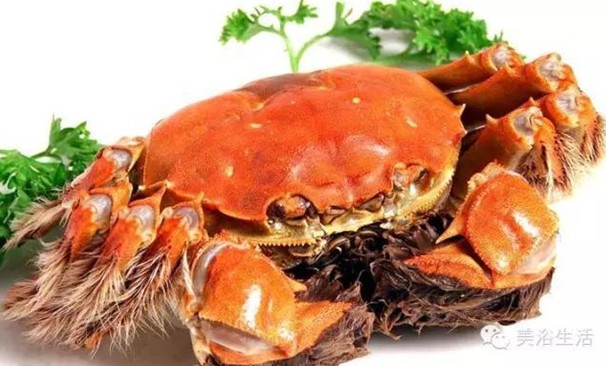 ԡÂĴlззSʳзȯзë