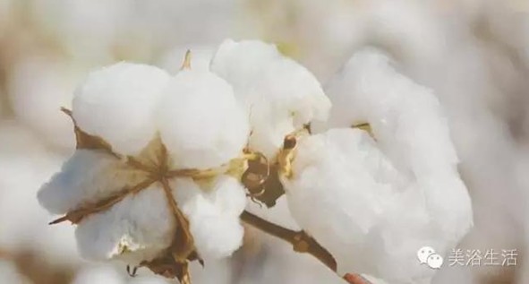 ԡՓһlëB(yng)