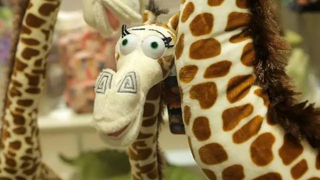 LҺꖵĄPʢҾ^µ_I(y)Ȳȥ