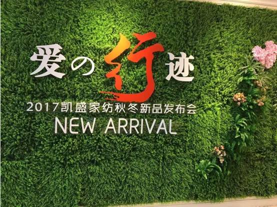 PʢҼ(i)E2017ﶬƷl(f)(hu)AMYsҫ35