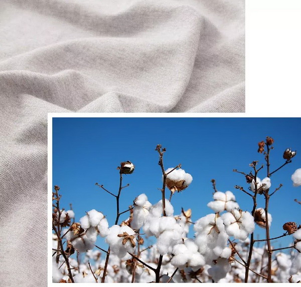 COMOLIVINGƳ~˯ߵęn