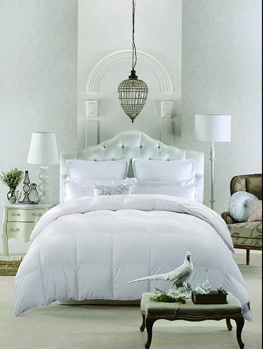 ƷZq(bio)(zhn)_쿴Iı_(d)(bio)˛]