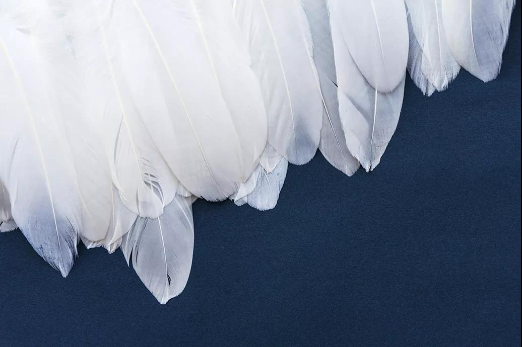 ƷZq(bio)(zhn)_쿴Iı_(d)(bio)˛]