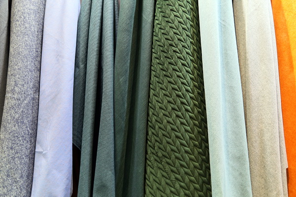 25dδk--2019ﶬҼչڇҕ(hu)չģϺA_Ļ