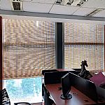 ɶɶ񺟡ɶ񺟶ߴ