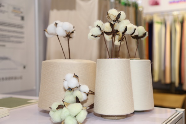 չ(ni)HЈИI(y)a(chn)I(y)2022ЇBd򴺼(hu)Ļ