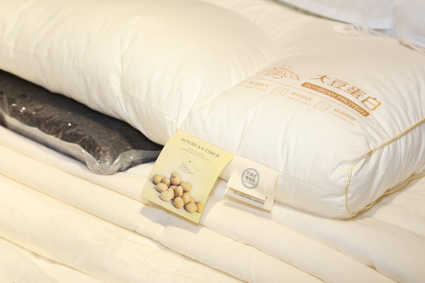 |W(xu)칤ˇ(f)żҼuӛ&סϵаl(f)CieltownĠС(zhn)2022ﶬӆ؛ue